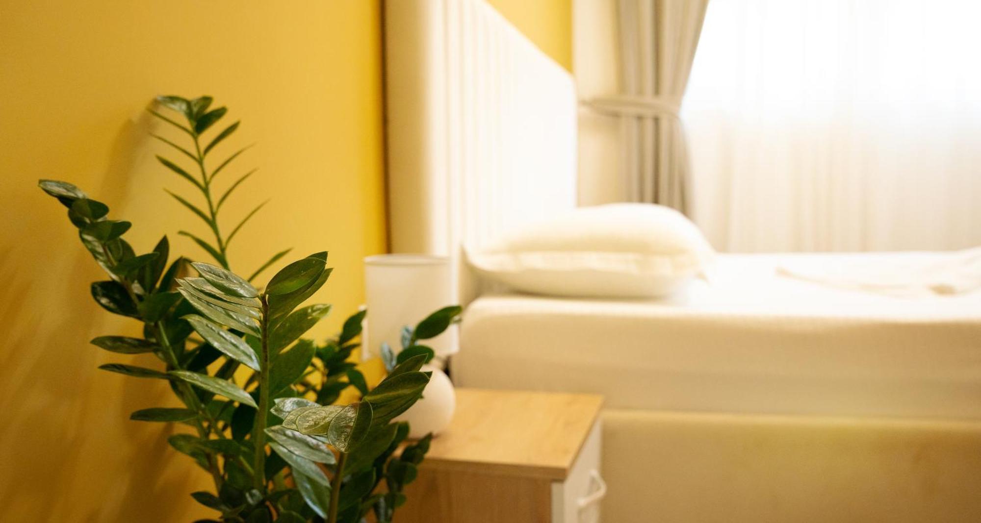 Hotel Luris Golem  Εξωτερικό φωτογραφία